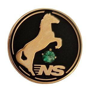 10K Yellow Gold Norfolk Southern Tourmaline Stone Horse Lapel Tie Pin Chain E115